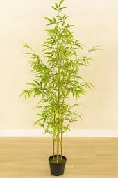 [bambu 40798-99] Planta bambu 180cm Grass